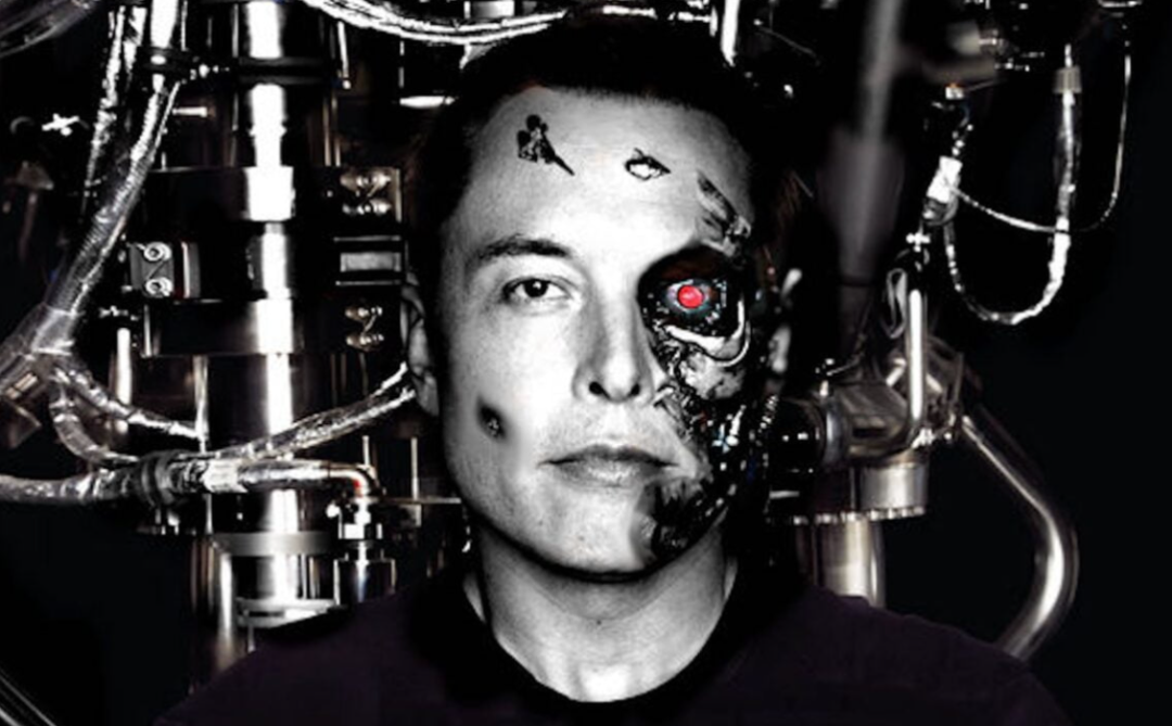 马斯克的猴子正在推动一场脑机革命，代价只是“香蕉奶昔”