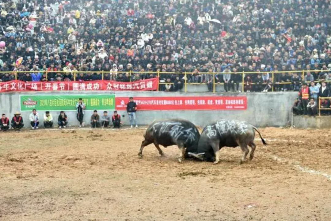 旅游收入超12億，貴州“村超”憑什么？