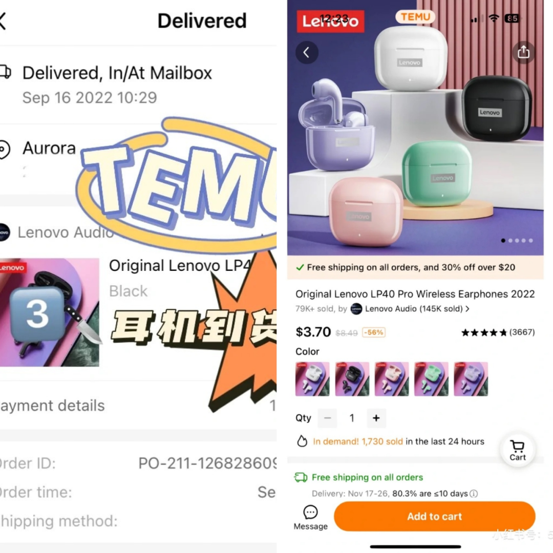 極具“侵略性”的Temu，如何再造一個拼多多？