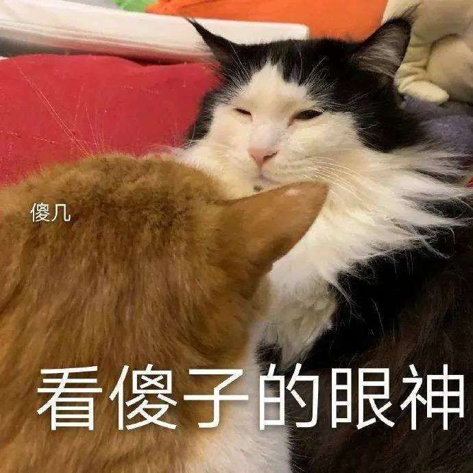 惡搞大軍出動，佩洛西這次被「假視頻」整慘了！