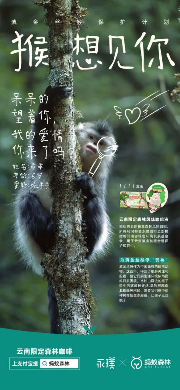 品牌升級：品牌如何賣更貴、賣更多？