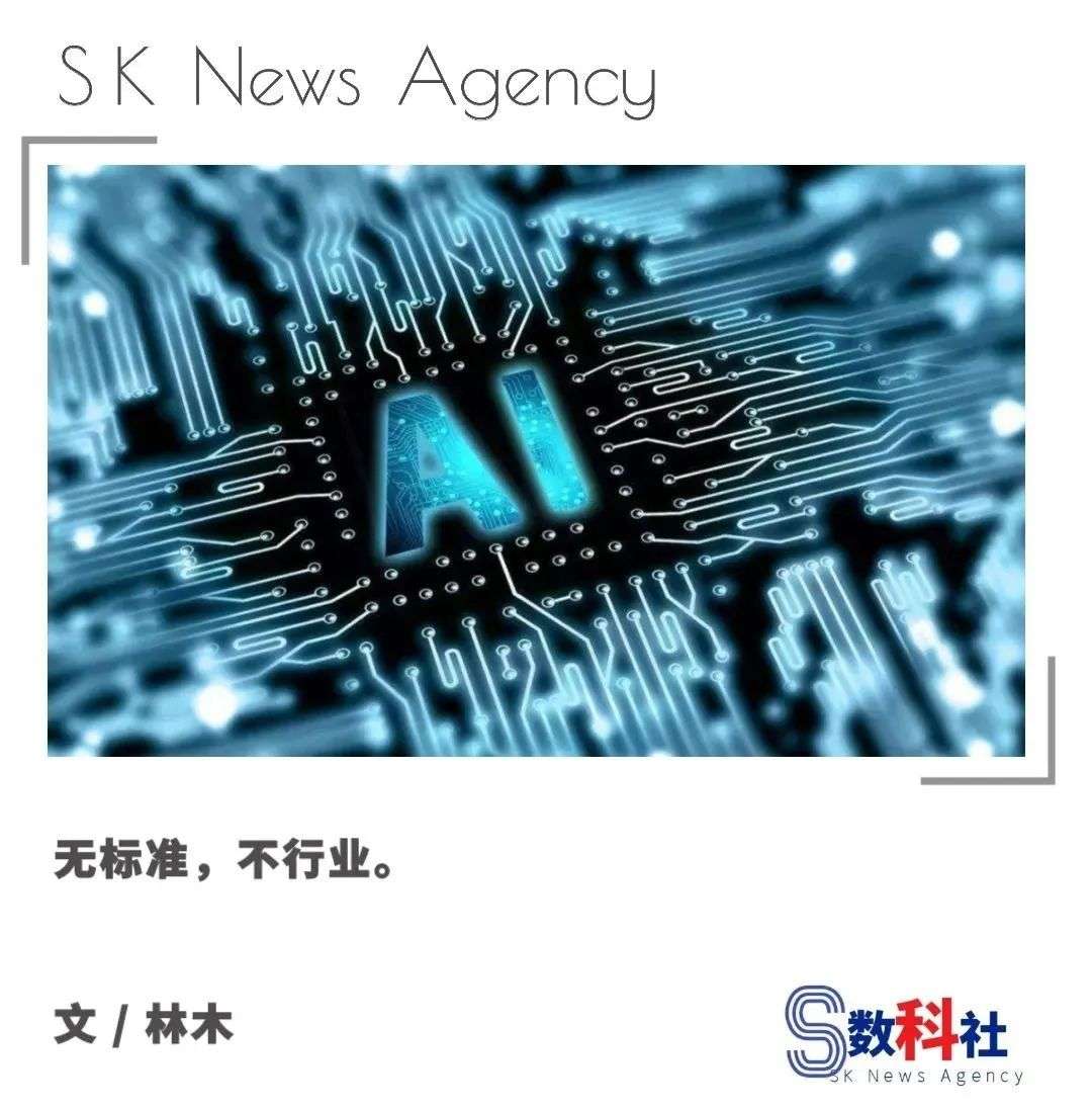 標(biāo)準(zhǔn)化憑什么引爆AI新風(fēng)口？