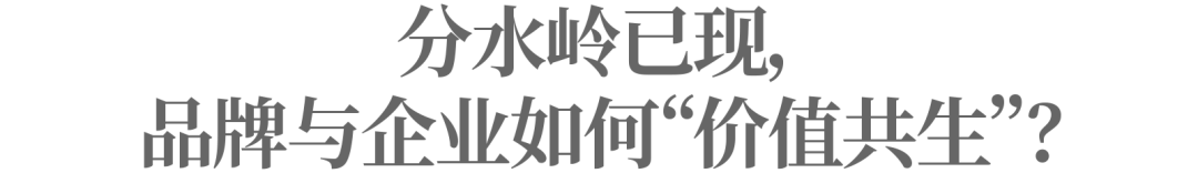 在电梯里，瞭望中国品牌的顽强生长