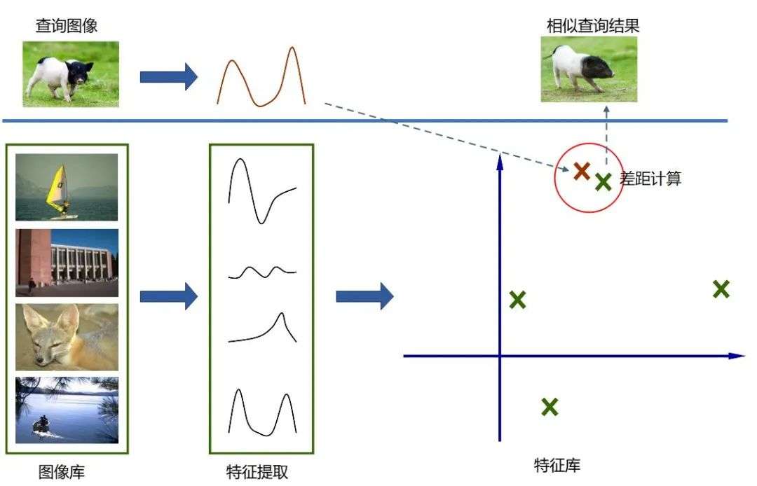 用PS的照片申请理赔，保险公司能过吗？