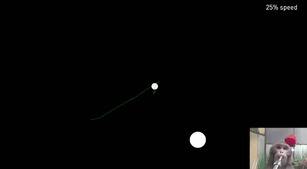 马斯克的猴子正在推动一场脑机革命，代价只是“香蕉奶昔”