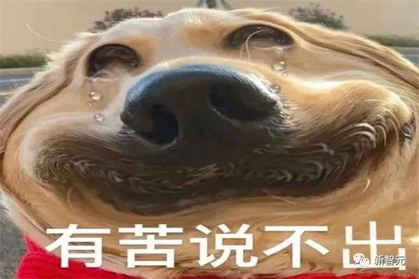 謝邀，原地失業！上交大佬剛到新加坡，就被蝦皮取消了offer