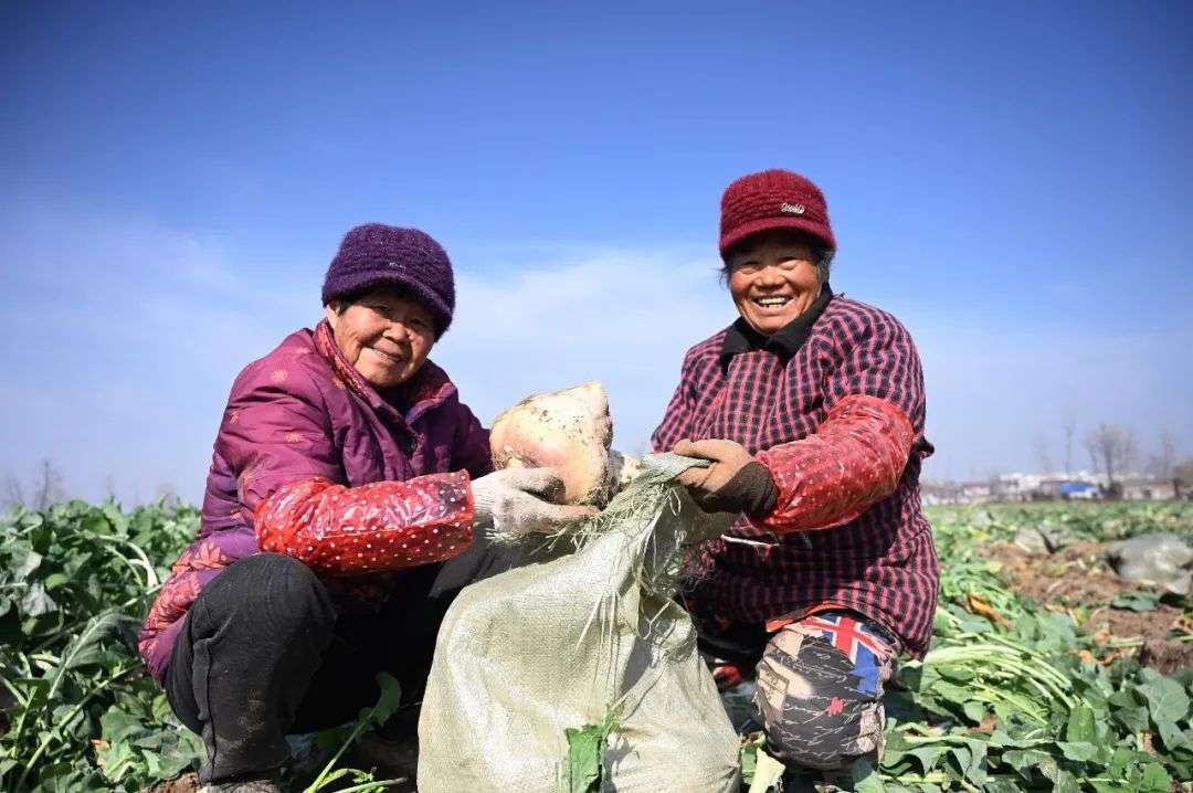 真正的好東西都在農村老家