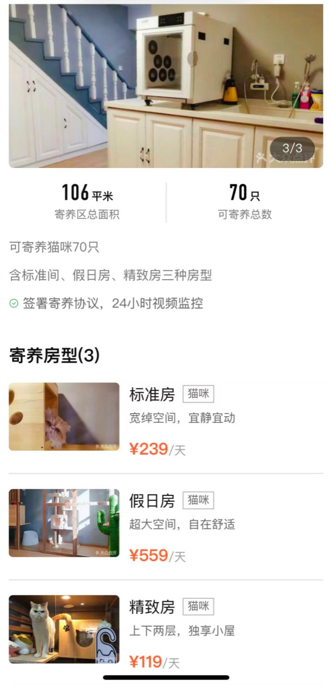 寵物也過(guò)年！寄養(yǎng)7天花3個(gè)月“生活費(fèi)”，商家訂單翻倍