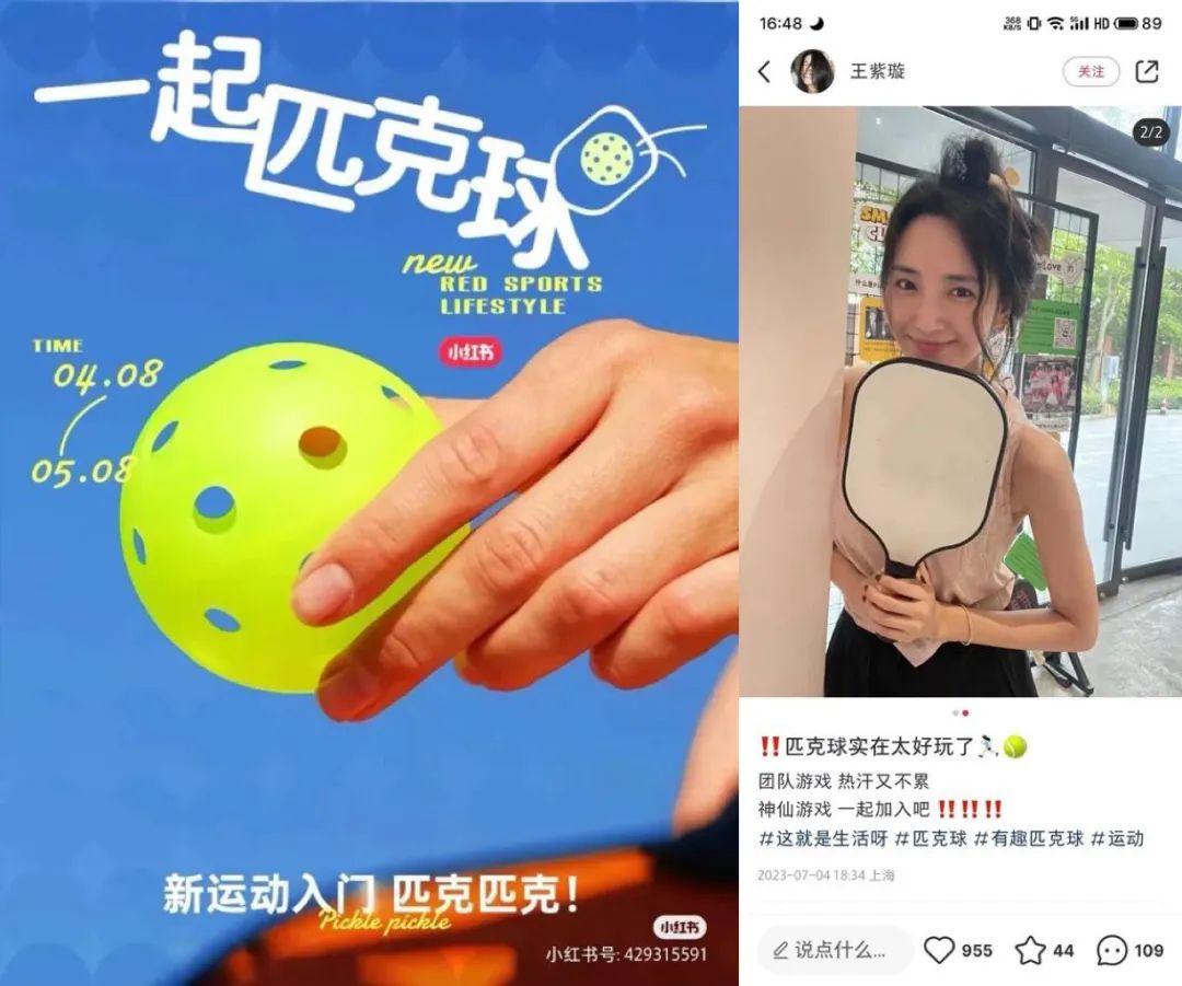 飛盤被拋棄，匹克球火了？