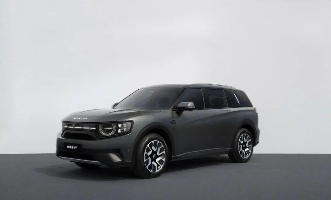 新能源車企的「400種死法」