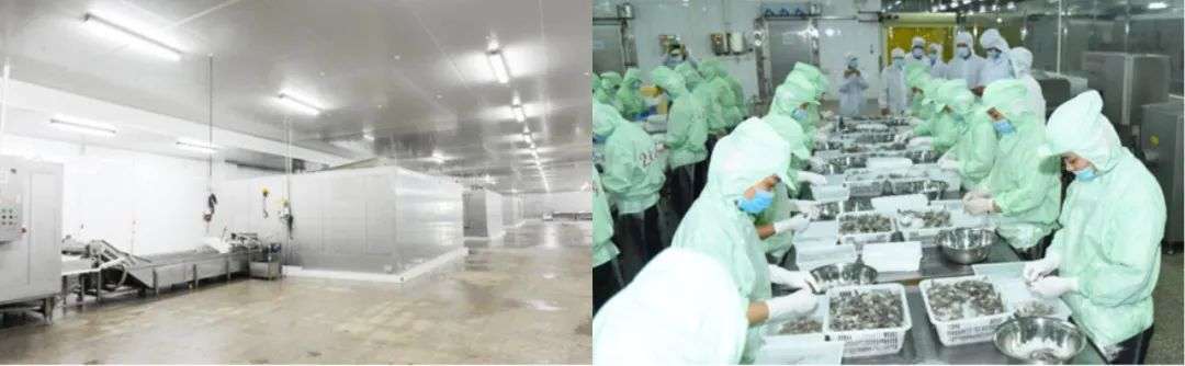 年銷4000噸，他離開大廠做的這個新品牌，兩年成天貓類目第一