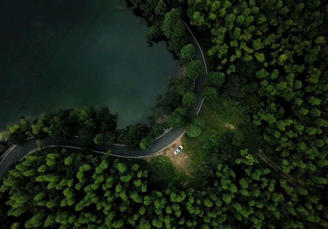 吵得這么兇，新能源車產業鏈究竟誰在掙錢？
