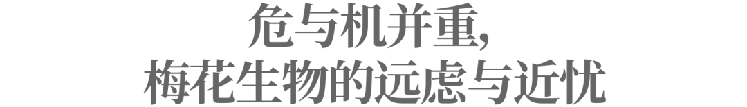 調味品“隱形巨頭”梅花生物的飼料生意
