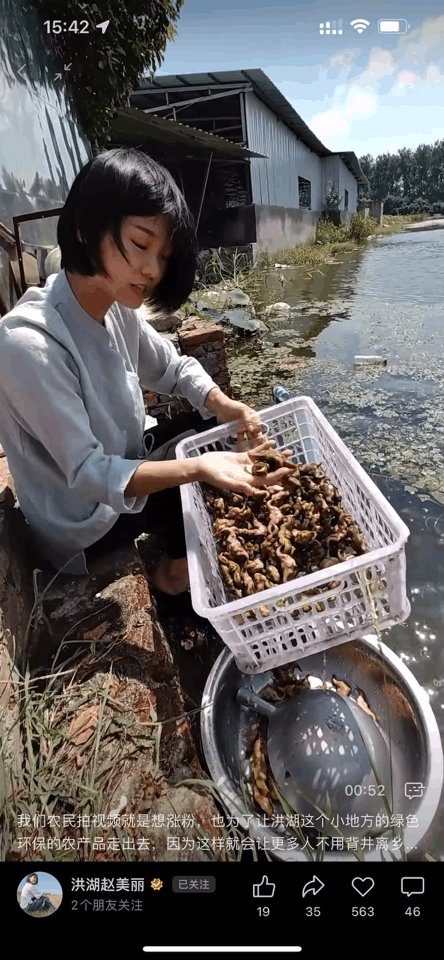 90后會計辭職不愿磨去棱角，15天直播怒賣20萬斤菱角