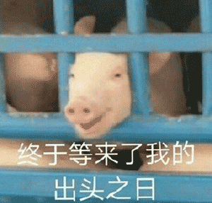 安卓版ChatGPT下周上線！OpenAI補全AI帝國最后一塊拼圖