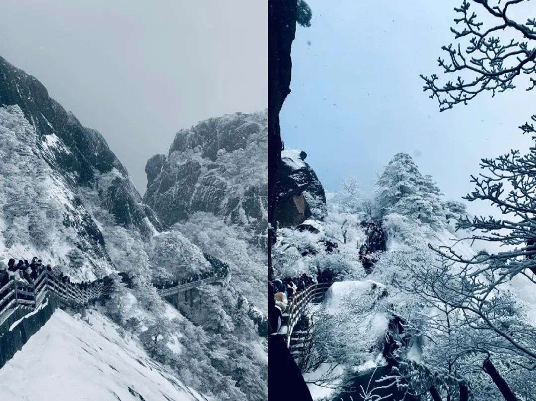 吃飯被宰、爬山被困，春節旅行有多少坑？