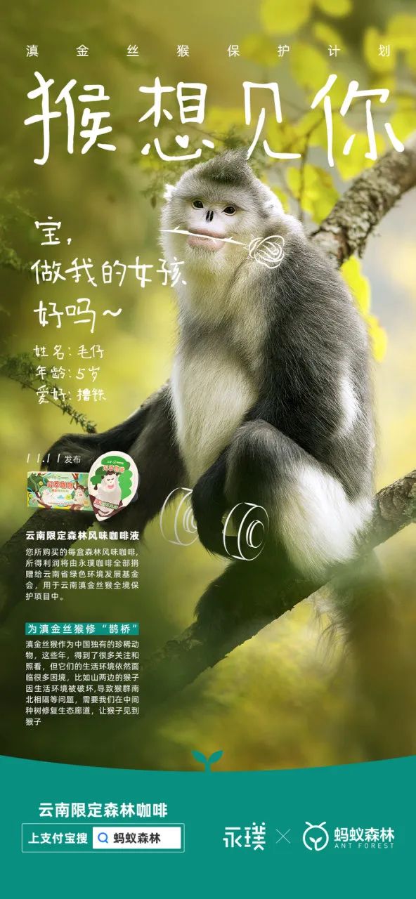 品牌升級：品牌如何賣更貴、賣更多？