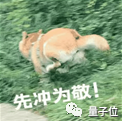 厲害！中科院打臉谷歌：普通電腦追上量子優越性