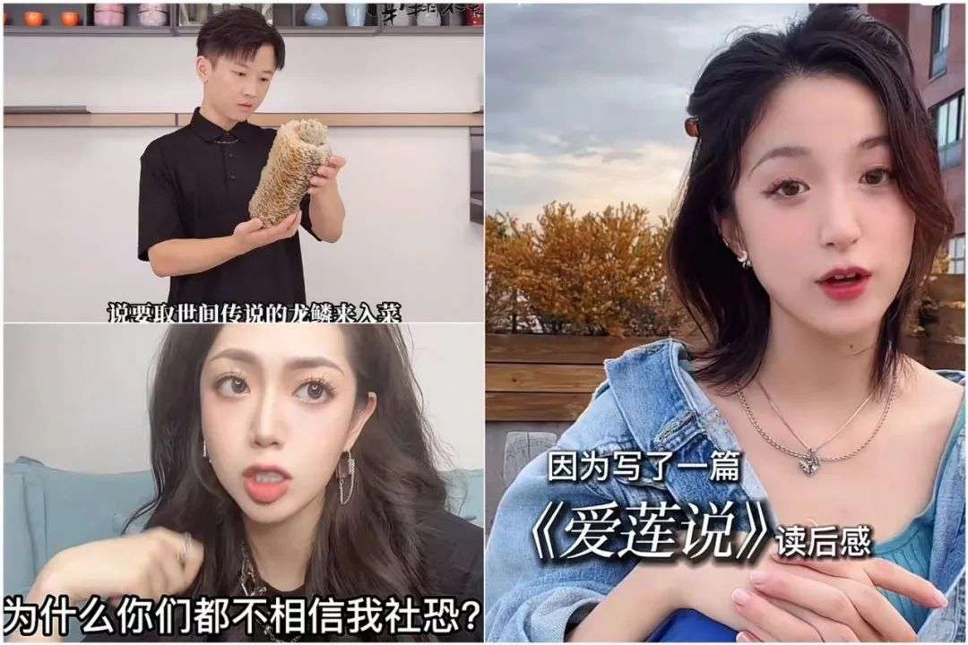 精致派博主“包圍”小紅書