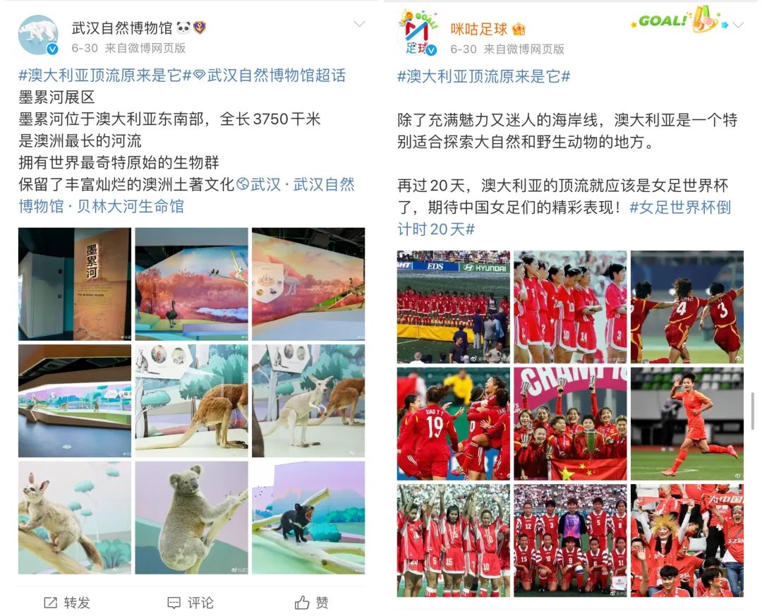 澳大利亞的新“頂流”，講出了出境游的“新故事”