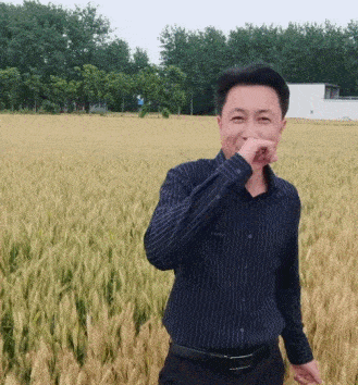 為了老baby們手機(jī)里的秘密，我研究了100個(gè)中老年抖音號(hào)