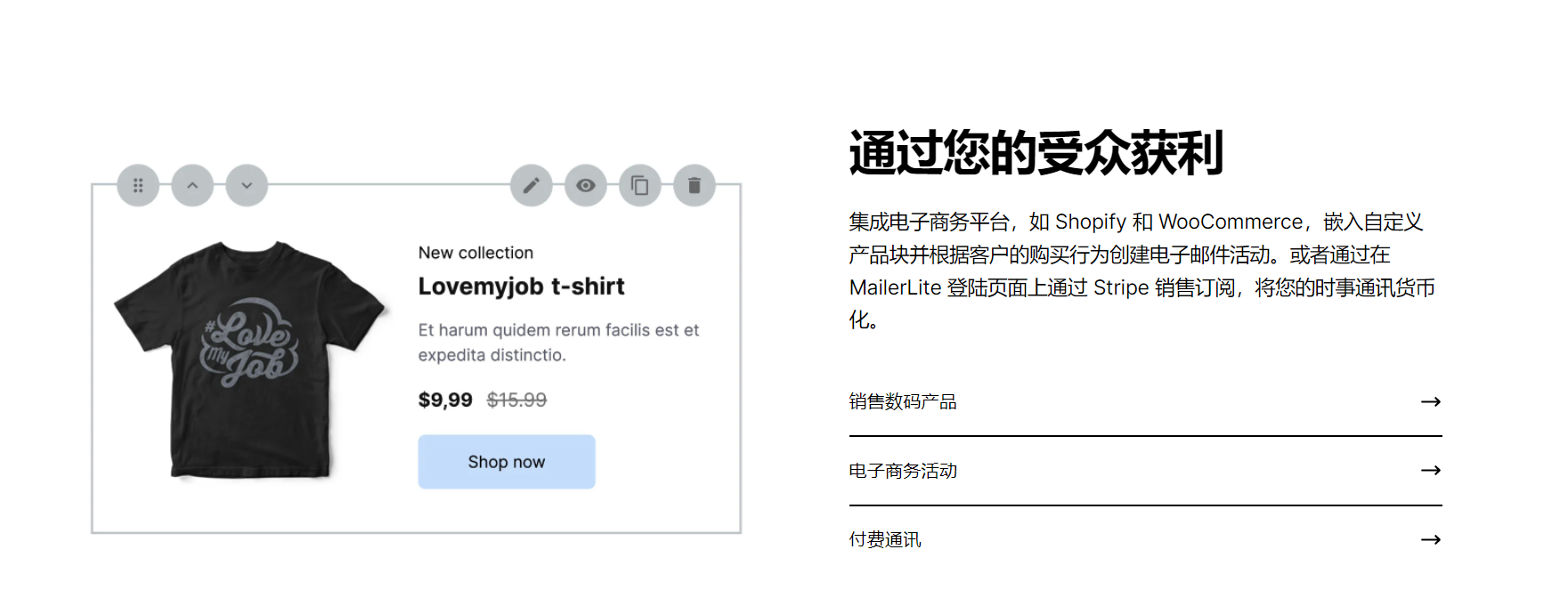 MailerLite的功能截图