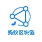 蚂蚁链