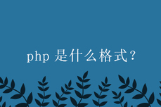 php是什么<dptag>格</dptag><dptag>式</dptag>？