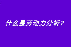 什么是劳动力<dptag>分</dptag><dptag>析</dptag>？