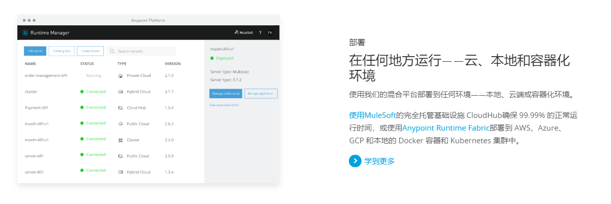 MuleSoft Anypoint的功能截图