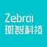 斑智科技大数据营销软件