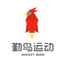 勤鸟运动智能硬件软件
