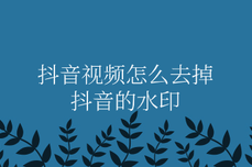 抖<dptag>音</dptag>视频怎么去掉抖<dptag>音</dptag>的水印？