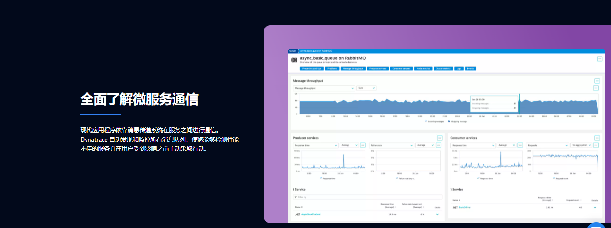Dynatrace的功能截图