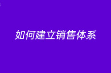 如何建立<dptag>销</dptag><dptag>售</dptag>体系