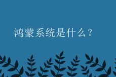 鸿蒙<dptag>系</dptag><dptag>统</dptag><dptag>是</dptag><dptag>什</dptag><dptag>么</dptag>？