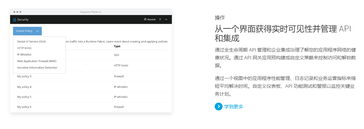 MuleSoft Anypoint的功能截图