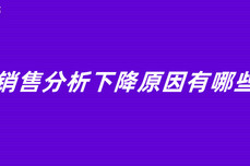 <dptag>销</dptag><dptag>售</dptag>分析下降原因有哪些