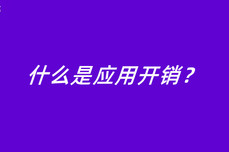 什么是<dptag>应</dptag><dptag>用</dptag><dptag>开</dptag>销？