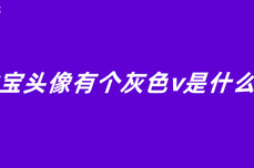 支付宝<dptag>头</dptag>像有个灰色v是什么意思