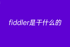 fiddler<dptag>是</dptag>干<dptag>什</dptag><dptag>么</dptag>的