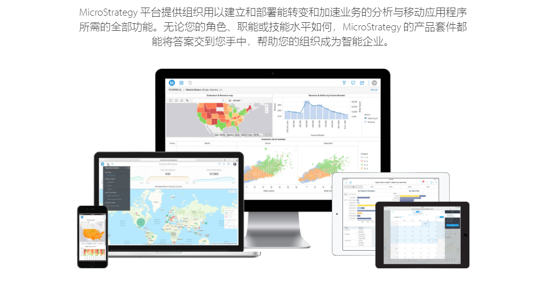 MicroStrategy的功能截图