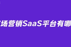 市场营销SaaS平台有哪些