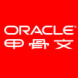 Oracle JDeveloper集成开发环境（IDE）软件