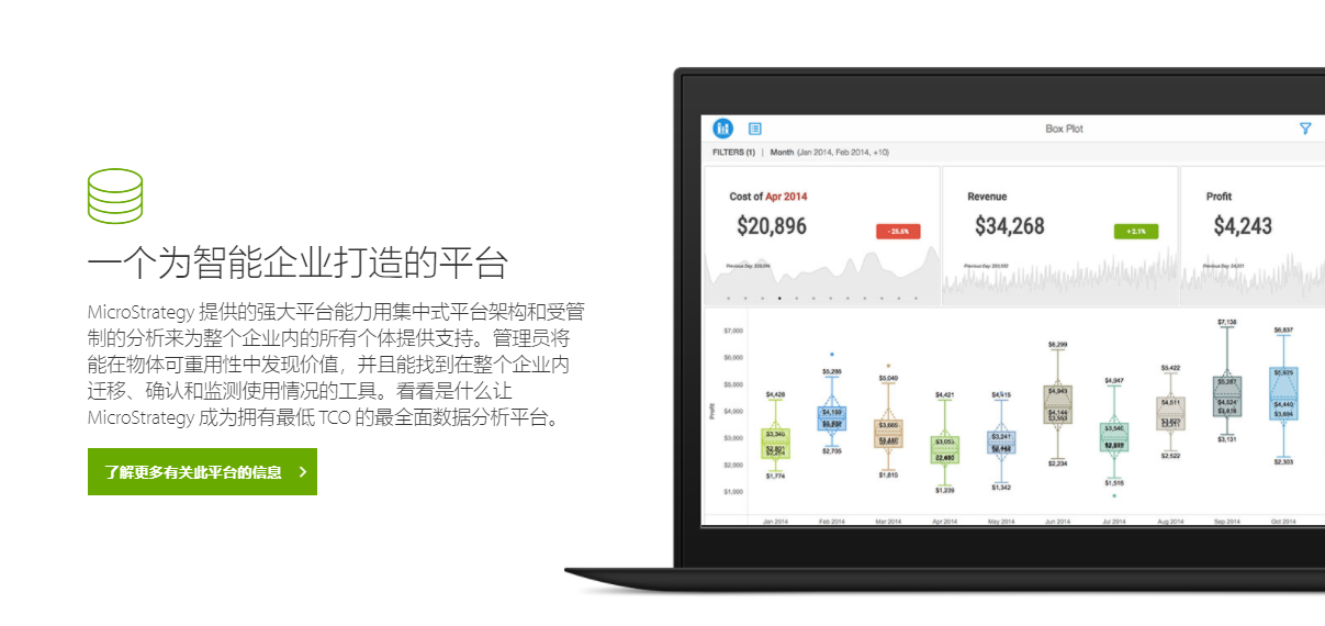 MicroStrategy的功能截图