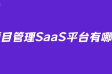 项目管理SaaS平台有哪些