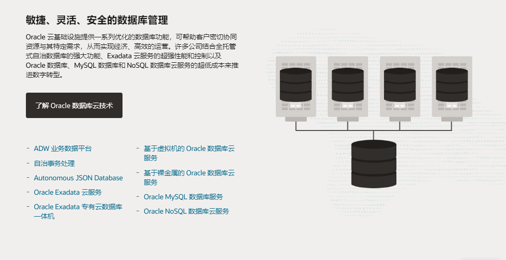 Oracle 数据库的功能截图