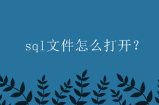 sql文<dptag>件</dptag>怎么打<dptag>开</dptag>？