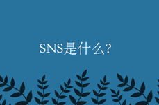 SNS是什么？