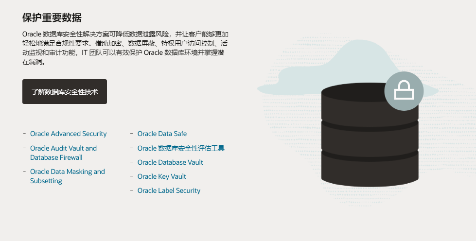 Oracle 数据库的功能截图